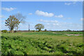 Farmland west of West Hanney