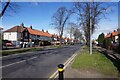 Ellerburn Avenue, Hull