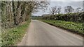 Lane to Rousham