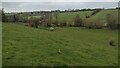 Path goes over the River Dorn Footbridge