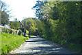 Lane leaving Pyrton towards Watlington