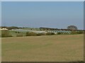 SE2823 : Haigh Hall solar farm from the west by Stephen Craven