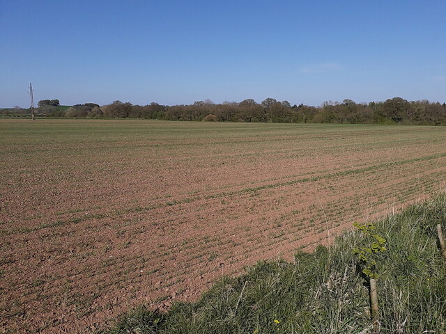 The SE corner of a large field near Kemberton Mill