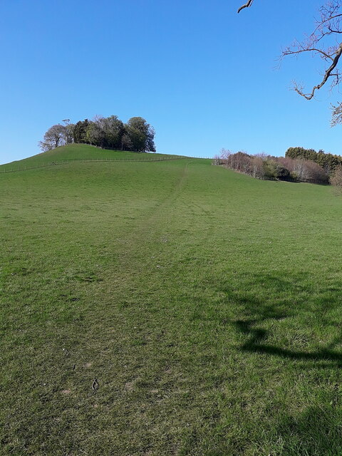 Footpath up onto Lodge Hill
