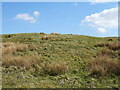 SD6198 : Hillside grazing off the A685 by JThomas