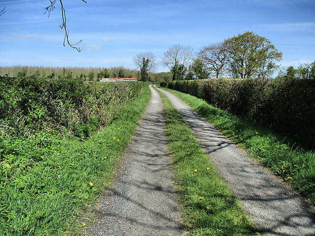 Country Laneway