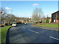 View along Longdales Road