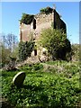 SO6653 : Ruins of Avenbury church by Philip Halling