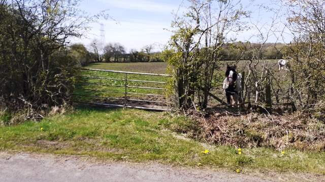 Field gateway on west side of road at Oak Tree Stables