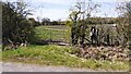 Field gateway on west side of road at Oak Tree Stables