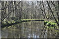 River Wey south of Frensham Manor