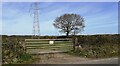 Field gateway on NW side of rural road west of Newtown of Rockcliffe