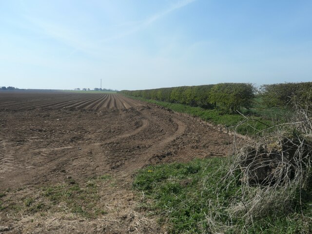 Bare field, south of Grindale Road