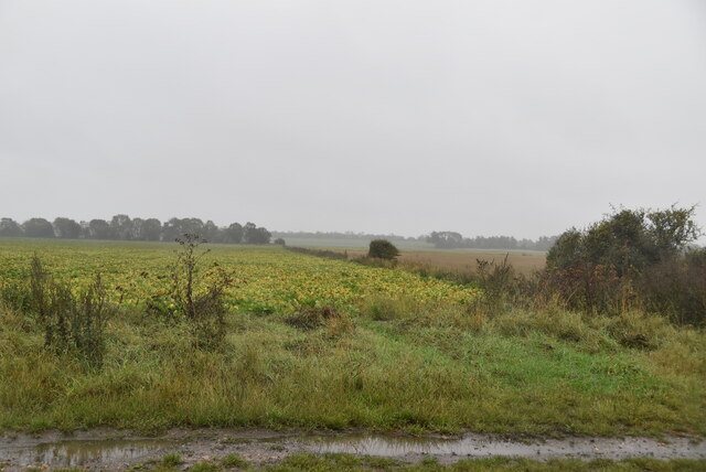 Farmland, North Fen