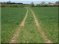ST6587 : Large margins on the edge of a field by Neil Owen