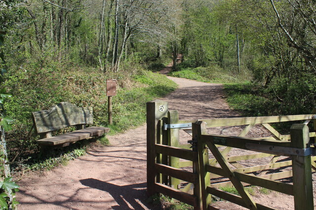 Start of path into Caer Wood and on to Skirrid Fawr