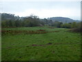 Rough grazing pasture near Bromlow Callow, Shropshire