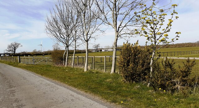 Field gate on NE side of rural road in view towards wind turbine