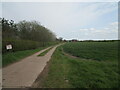 Roadway to Holme Farm