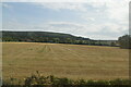 Farmland near Edington
