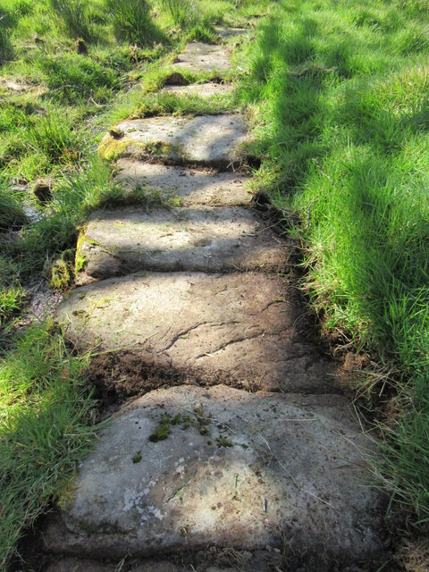 Stone trod in Crag Wood 2