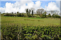 Garvallagh Townland