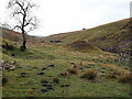 NY8620 : Valley of Lune Head Beck by Andrew Curtis