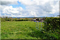 An open field, Garvallagh