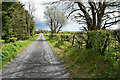 Tree shadows along Raneese Road