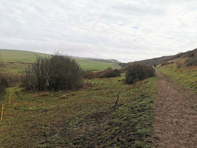 South Downs, looking west from Horseshoe Plantation