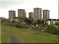 Tower blocks, Radnor Park