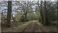 Bridleway through Royal Common