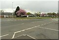 Road junction, Great Western Road