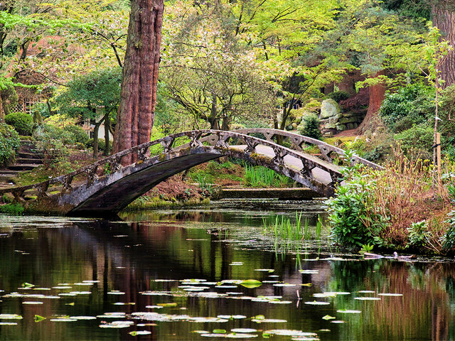 Tatton Park Japanese Garden, The Almond... © David Dixon :: Geograph ...