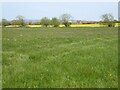 Farmland beside the River Swilgate