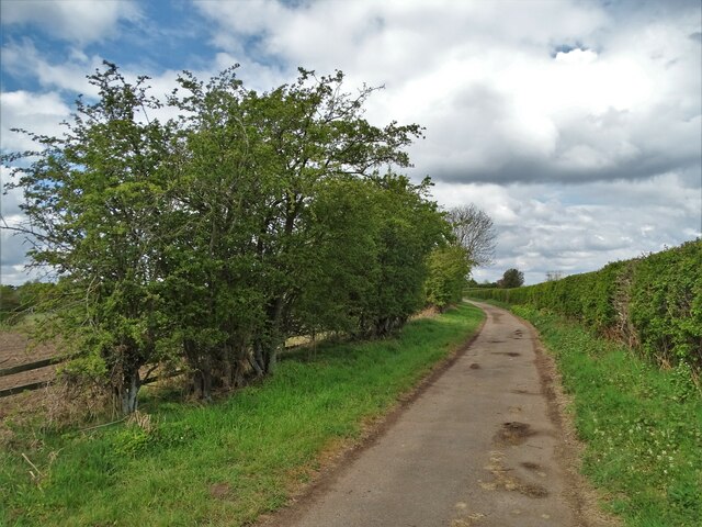 Green Lane, Old Cantley