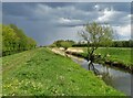 The River Torne north of Auckley