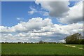 Mickfield, Boundary Farm: Crop