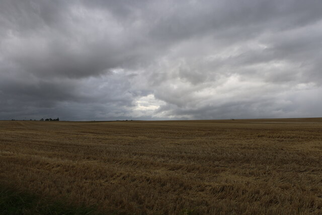 Harvested grain crop near Mains of Usan, Angus