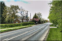 SJ7779 : Knutsford Road (B5085), Mobberley by David Dixon