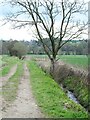 Farm track by a tiny beck