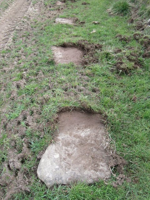 Uncovered trod near Ugthorpe