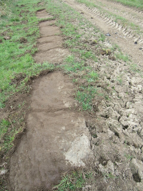 Uncovered trod near Ugthorpe 2