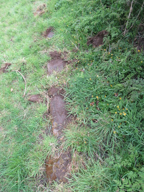 Stone trod near Ugthorpe 4