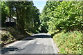 Lane on Ashdown Forest