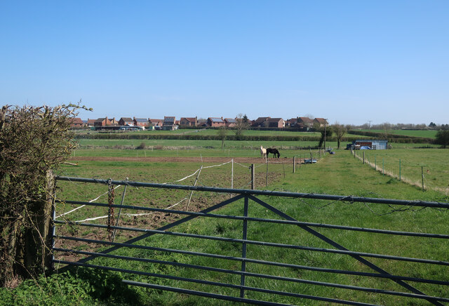 Horse paddocks by Godmanchester