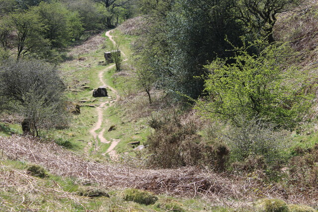 Path at southern end of valley below Skirrid Fawr