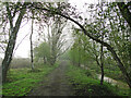 TM0379 : Path beside the young River Waveney by Adrian S Pye