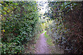 Nettlestone : Footpath