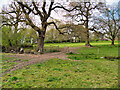 Mobberley Field, Track and Gate towards Dairy Farm